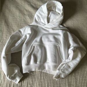 Aritzia Cropped Hoodie